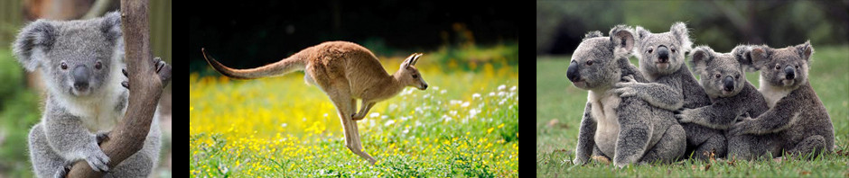 Jacqueline & Remy op vakantie!
