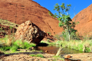 Water en een groene oase op de Valley of the Winds Trail.