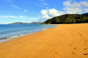 Abel Tasman