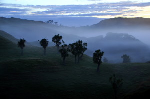 De opgaande zon laat de nevel langzaam verdwijnen...