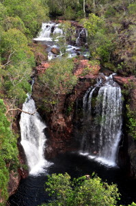 Florence Falls waar we een duik in het water en onder de waterval genomen hebben.