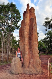 Cathedral Termite Mound