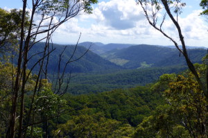 Lamington National Park