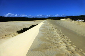 De grote zandduin van The Desert