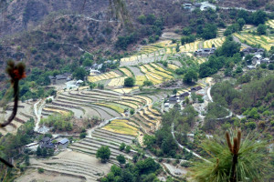 We lopen langs akkertjes en kleine dorpjes.