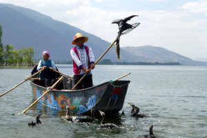 De visser toont de vangst van de aalscholver
