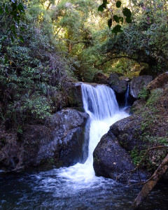 Waterval op de wandeling in San Gerardo de Dota