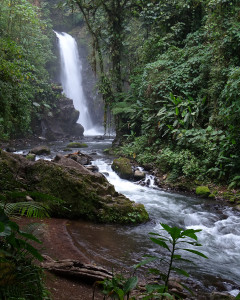 Waterval bij La Paz Waterfall Gardens