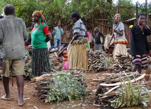 De sprokkelhout afdeling
