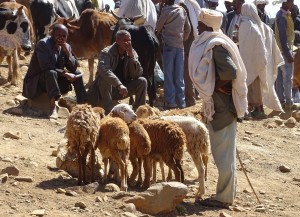 De waren worden op een rijtje gezet