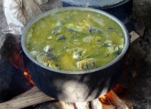 Bouiabaisse op de vismarkt